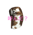 いしまつくん（個別スタンプ：10）