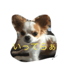いしまつくん（個別スタンプ：11）