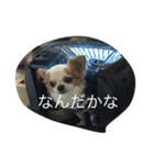 いしまつくん（個別スタンプ：13）