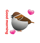 CG Sparrow (2)（個別スタンプ：1）