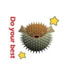 CG Porcupinefish (2)（個別スタンプ：7）