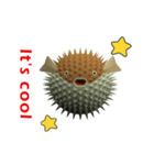 CG Porcupinefish (2)（個別スタンプ：10）