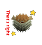 CG Porcupinefish (2)（個別スタンプ：13）