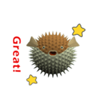 CG Porcupinefish (1)（個別スタンプ：7）