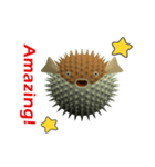 CG Porcupinefish (1)（個別スタンプ：9）