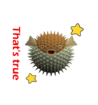 CG Porcupinefish (1)（個別スタンプ：10）