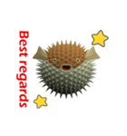 CG Porcupinefish (1)（個別スタンプ：16）