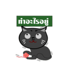 My Cat SA-COO（個別スタンプ：22）