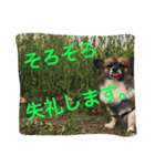 犬のわさび あいさつ編！（個別スタンプ：18）
