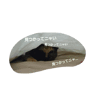 わたしの猫ちゃん（個別スタンプ：6）