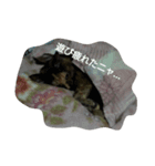 わたしの猫ちゃん（個別スタンプ：7）