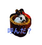 うさぎ好き用（個別スタンプ：2）