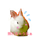 うさぎ好き用（個別スタンプ：5）