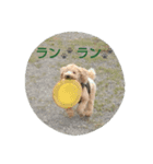 ハッピー スマイル2（個別スタンプ：7）
