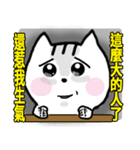 chao hu cat part13（個別スタンプ：10）