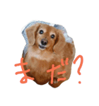 かわゆいナナちゃん（個別スタンプ：3）