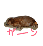 かわゆいナナちゃん（個別スタンプ：4）