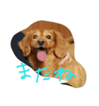 かわゆいナナちゃん（個別スタンプ：10）