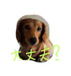 かわゆいナナちゃん（個別スタンプ：13）