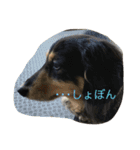 ♡小次郎♡（個別スタンプ：2）