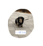 ♡小次郎♡（個別スタンプ：5）