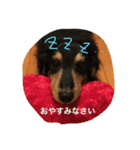 ♡小次郎♡（個別スタンプ：8）