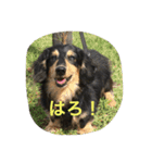 ♡小次郎♡（個別スタンプ：10）