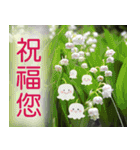 Flower language Colorful（個別スタンプ：1）