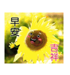 Flower language Colorful（個別スタンプ：2）