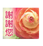 Flower language Colorful（個別スタンプ：4）