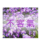 Flower language Colorful（個別スタンプ：5）