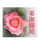 Flower language Colorful（個別スタンプ：7）