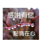 Flower language Colorful（個別スタンプ：9）