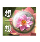 Flower language Colorful（個別スタンプ：11）