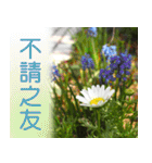 Flower language Colorful（個別スタンプ：14）