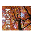 Flower language Colorful（個別スタンプ：15）