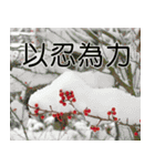 Flower language Colorful（個別スタンプ：18）