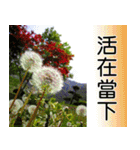 Flower language Colorful（個別スタンプ：20）