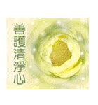Flower language Colorful（個別スタンプ：23）