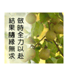 Flower language Colorful（個別スタンプ：25）