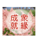 Flower language Colorful（個別スタンプ：27）