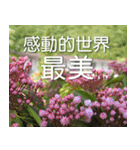Flower language Colorful（個別スタンプ：29）