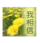 Flower language Colorful（個別スタンプ：30）