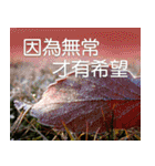 Flower language Colorful（個別スタンプ：32）