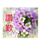Flower language Colorful（個別スタンプ：34）