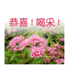 Flower language Colorful（個別スタンプ：36）