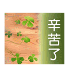 Flower language Colorful（個別スタンプ：39）