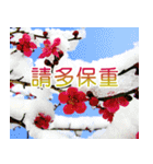 Flower language Colorful（個別スタンプ：40）