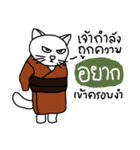 Master Meow（個別スタンプ：13）