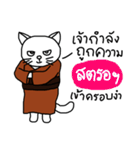 Master Meow（個別スタンプ：14）